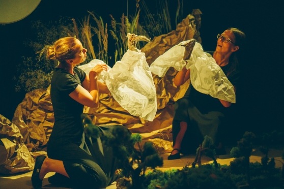 Teātra pamežs ar ainavas redzējumu