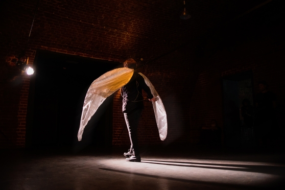 Ekokritika ar zemtekstu