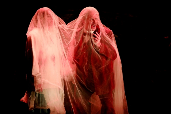 Zemsvītras skūpsts