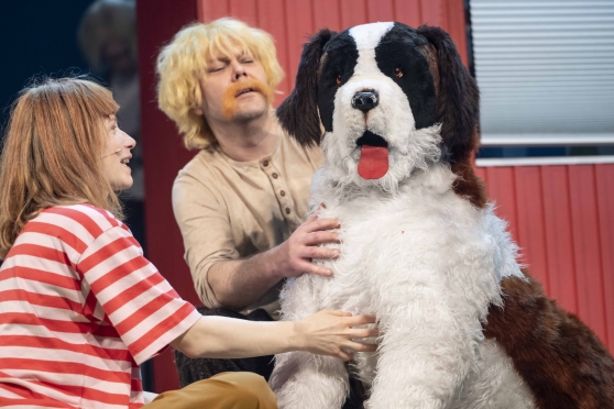 Sālsvārnas laimīgā zeme