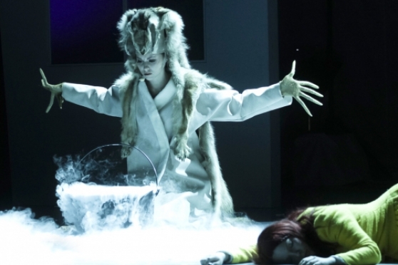 Rozes un labas balsis