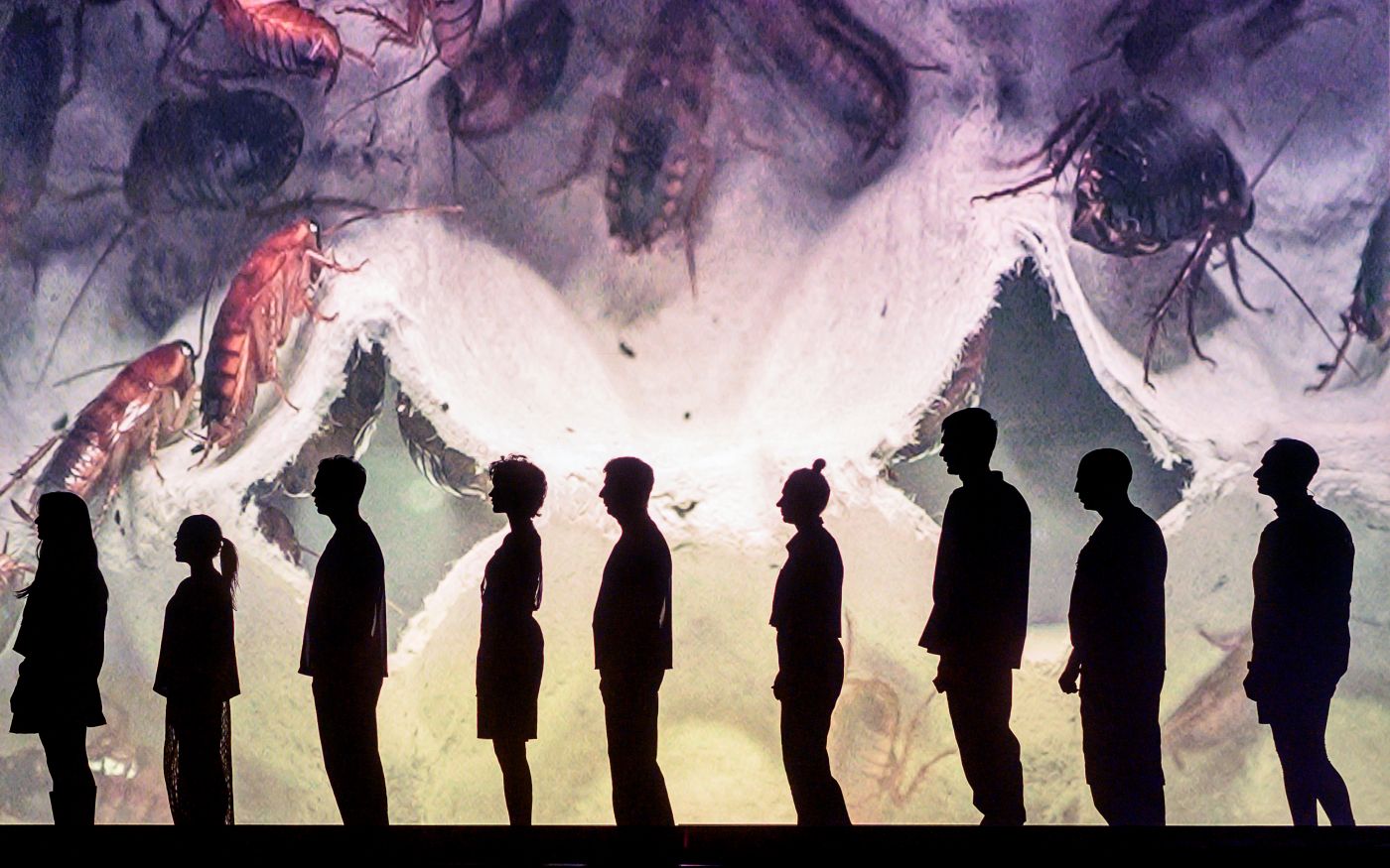 Skats no Lietuvas Nacionālā Drāmas teātra izrādes “Metamofroze” (rež. O. Frljičs) // Foto – Dmitrijus Matvejevas