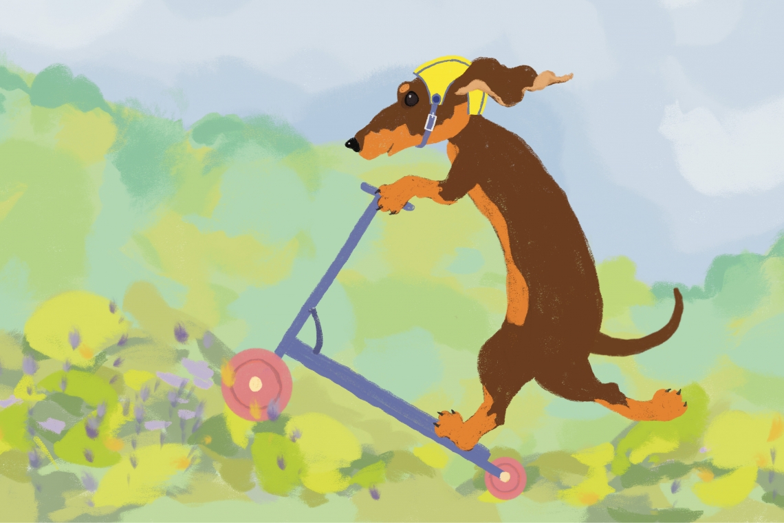 Ilustrācija: Evita Bēta